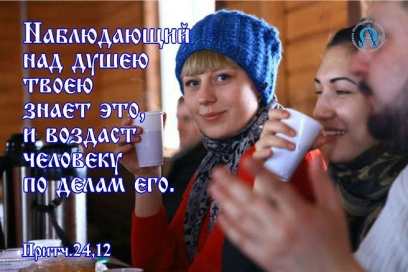 цитата дня